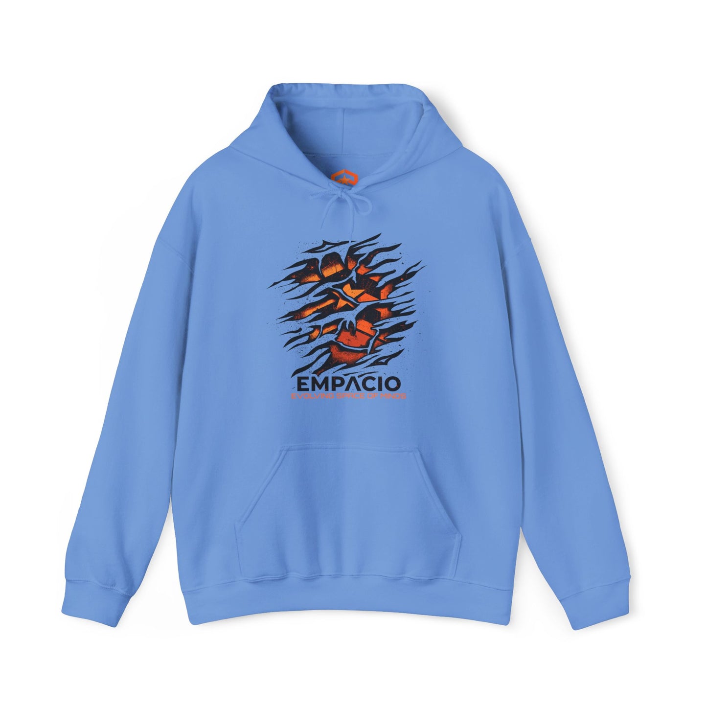 Evolving Space Of Minds Hoodie