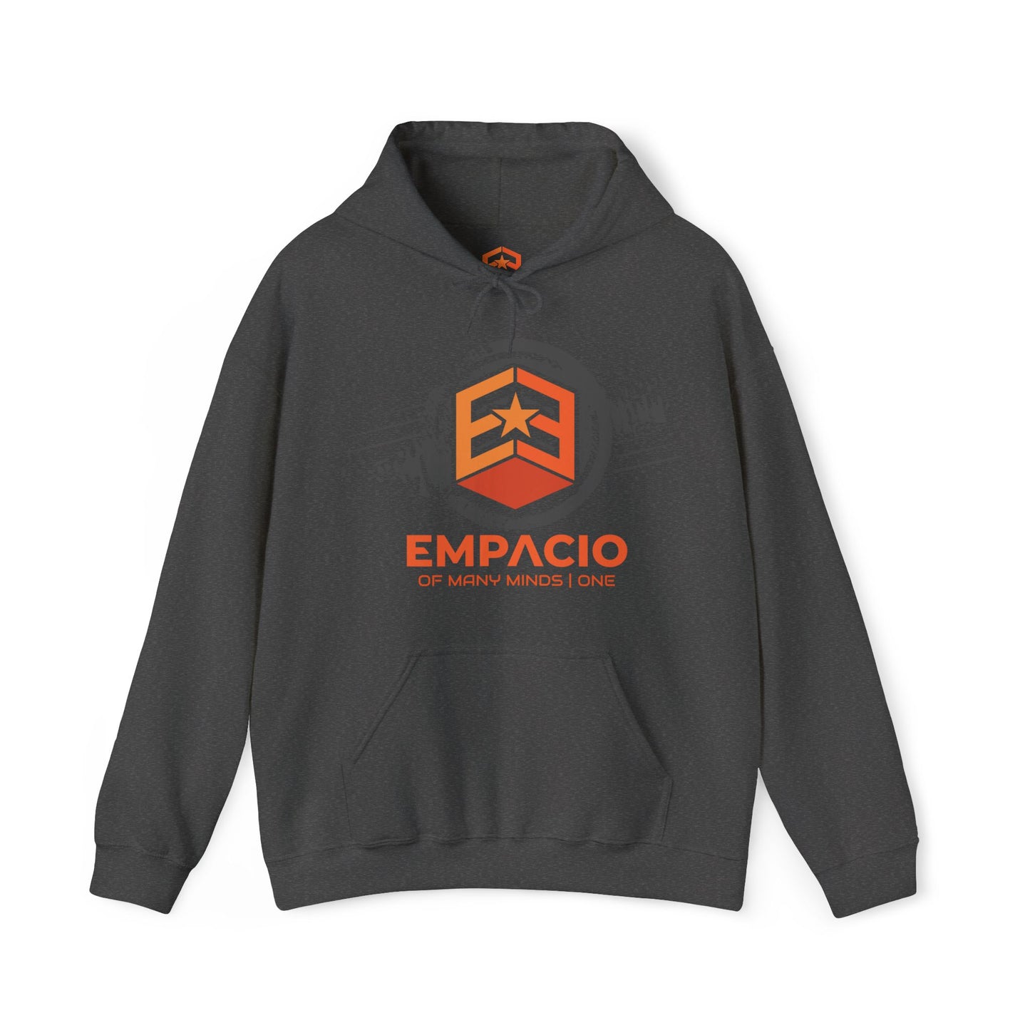 Of Many Minds | One Hoodie