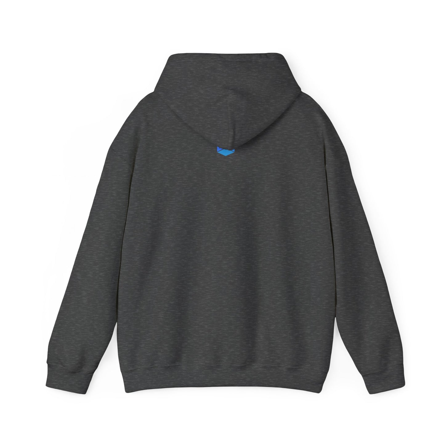 Colección Estreyo PICKLEBALL Hooded Sweatshirt