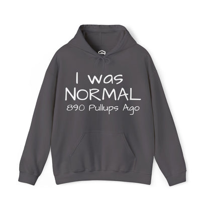 I Was Normal Hoodie Sweatshirt