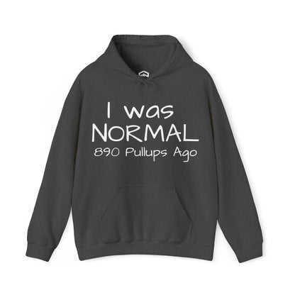 I Was Normal Hoodie Sweatshirt